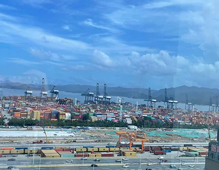 Superaci&oacute;n de la demanda m&aacute;xima de transporte: Haomin Logistics garantiz&oacute; con &eacute;xito el despacho de aduanas y el env&iacute;o sin problemas de m&uacute;ltiples lotes de productos a granel, incluidos productos 3C, art&iacute;culos de hardware y repuestos para autom&oacute;viles.